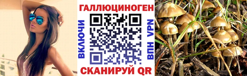 купить  цена  МЕГА как зайти  Псилоцибиновые грибы GOLDEN TEACHER  Мостовской 